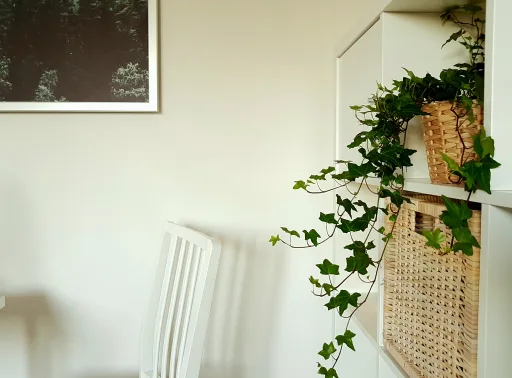 minimalism is always good for interior design - 旺财28APP